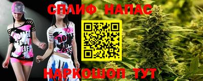 МДПВ Обнинск
