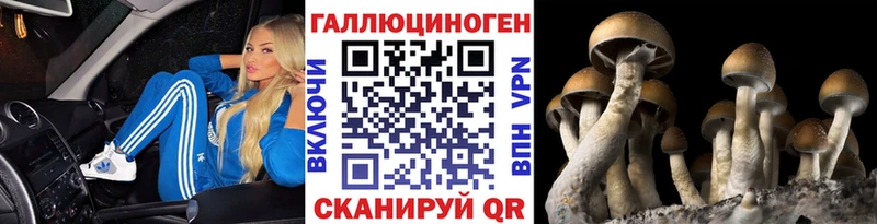 Псилоцибиновые грибы ЛСД  как найти   Ростов-на-Дону 