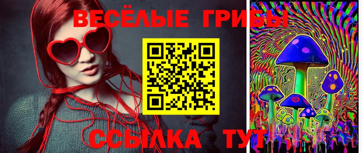 Галлюциногенные грибы Magic Shrooms Ростов-на-Дону