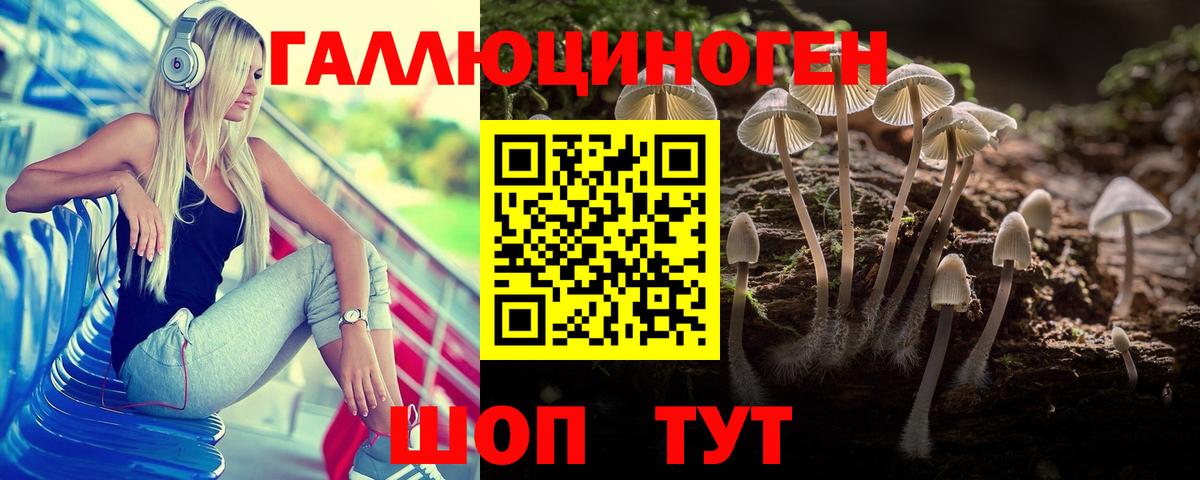 Ростов-на-Дону  Галлюциногенные грибы Cubensis  Вход с VPN 